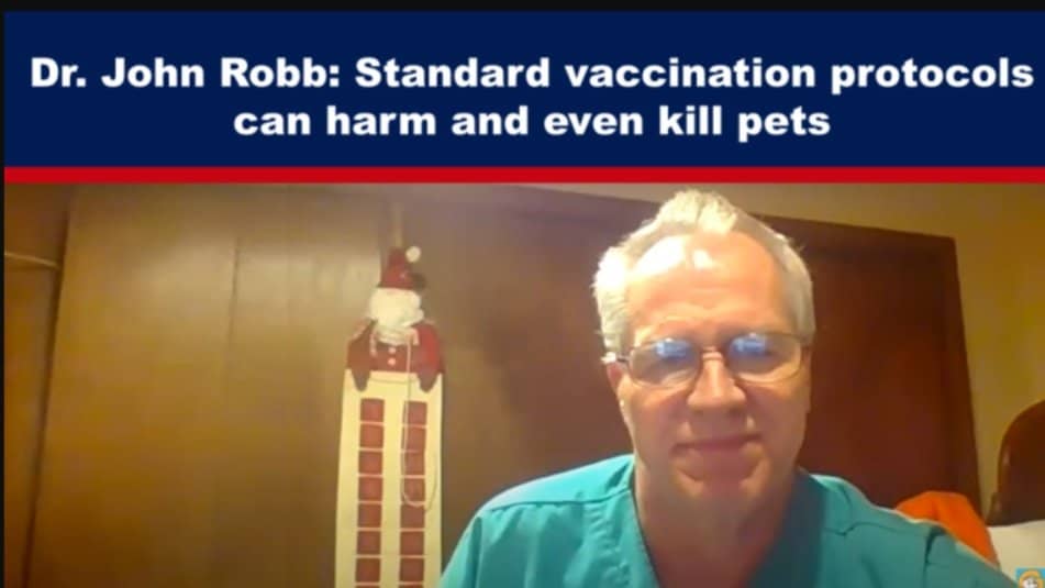 URGENT! Dr. John Robb: Standard Vaccination Protocols Can Harm and Kill Your Pets